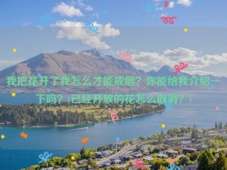 我把花开了我怎么才能戒烟？你能给我介绍一下吗？(已经开放的花怎么取消？)