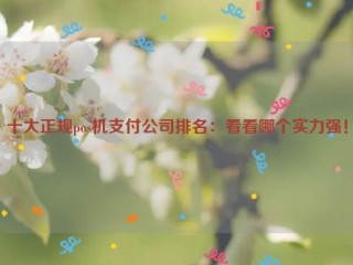 十大正规pos机支付公司排名：看看哪个实力强！ 