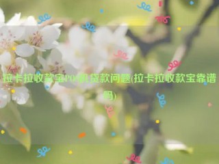 拉卡拉收款宝POS机贷款问题(拉卡拉收款宝靠谱吗)