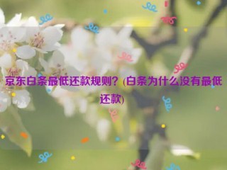 京东白条***低还款规则？(白条为什么没有***低还款) 