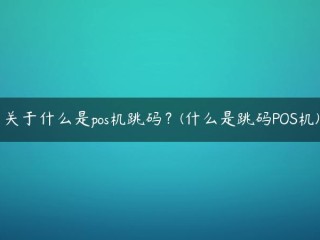 关于什么是机器跳跃？(什么是跳码POS机)