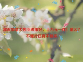 都说加拿大鹅羽绒服好，上万元一件！值么？不懂行还真不敢买