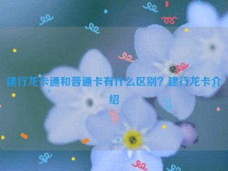 建行龙卡通和普通卡有什么区别？建行龙卡介绍