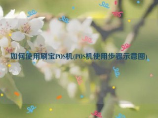 如何使用刷宝POS机(POS机使用步骤示意图)