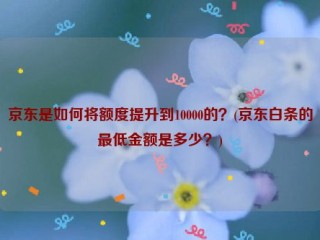 京东是如何将额度提升到10000的？(京东白条的***低金额是多少？)