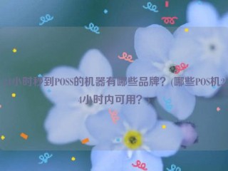 24小时秒到POSS的机器有哪些品牌？(哪些POS机24小时内可用？)