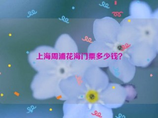 上海周浦花海门票多少钱？