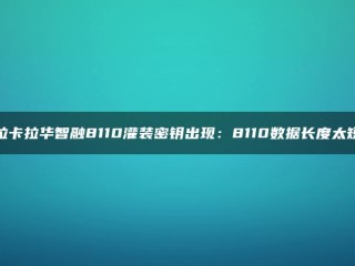 拉卡拉华智荣8110填充键出现：8110数据长度太短