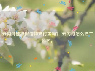 云闪付能扫微信和支付宝吗？(云闪付怎么扫二维码) 