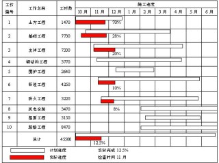 项目管理专题论文