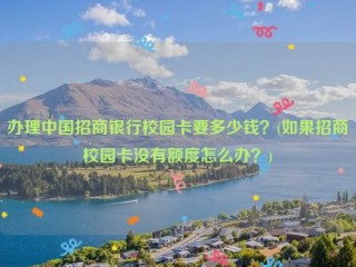 办理中国招商银行校园卡要多少钱？(如果招商校园卡没有额度怎么办？)