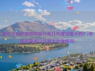 我可以在中国招商银行支行办理信用卡吗？(中国招商银行信用卡办理情况)