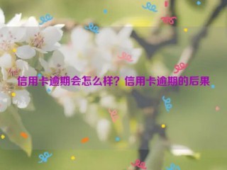 信用卡逾期会怎么样？信用卡逾期的后果