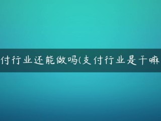 支付行业还能做到吗(支付行业是做什么的)