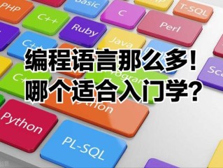 不同编程语言有哪些差异？如何选择入门语言？