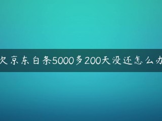 如果我欠京东一张空白纸条超过5000天怎么办？