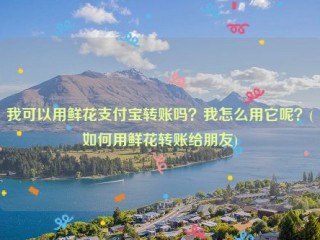 我可以用鲜花支付宝转账吗？我怎么用它呢？(如何用鲜花转账给朋友)