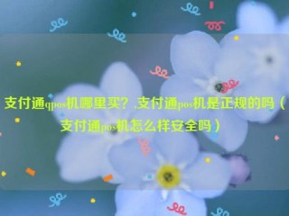 支付通qpos机哪里买？,支付通pos机是正规的吗（支付通pos机怎么样安全吗） 