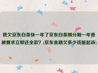 我欠京东白条快一年了京东白条刚分期一年竟被要求立即还全款？(京东金融欠多少钱能起诉) 