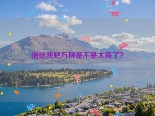 借给我吧万柳是不是太高了？