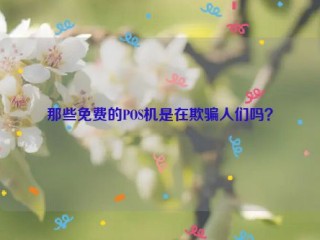 那些免费的POS机是在欺骗人们吗？