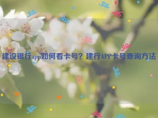 建设银行app如何看卡号？建行APP卡号查询方法