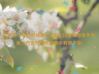 今年第二批牌照续展！12家支付公司迎来大考(第三方支付牌照名单中有多少家)