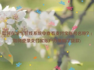 如何在学生在线系统中查看支付宝账号名称？(如何登录支付宝账户办理助学贷款)