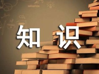 知识产权管理工作总结