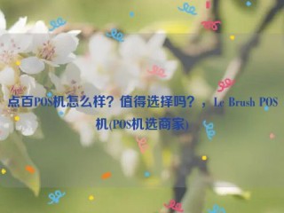 点百POS机怎么样？值得选择吗？，Le Brush POS机(POS机选商家)