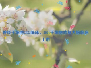 神经干细胞2022临床，2021干细胞修复大脑临床上市