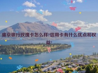 盛京银行玫瑰卡怎么样?信用卡有什么优点和权益?