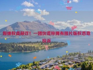 假维权真敲诈！一团伙谎称拥有图片版权恶意投诉