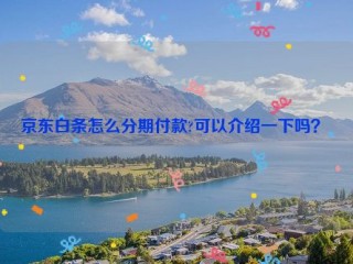 京东白条怎么分期付款?可以介绍一下吗？ 