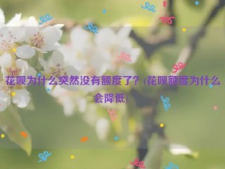 花呗为什么突然没有额度了？(花呗额度为什么会降低) 