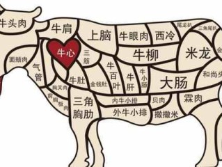 上脑牛肉是哪个部位（牛肉的部位图解与做法）