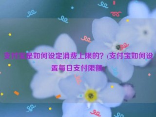 支付宝是如何设定消费上限的？(支付宝如何设置每日支付限额)