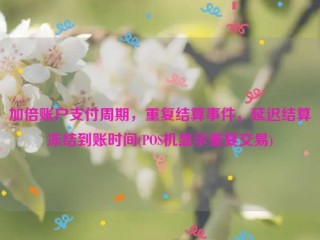 加倍账户支付周期，重复结算事件，延迟结算冻结到账时间(POS机显示重复交易)