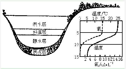 水处理药剂知识