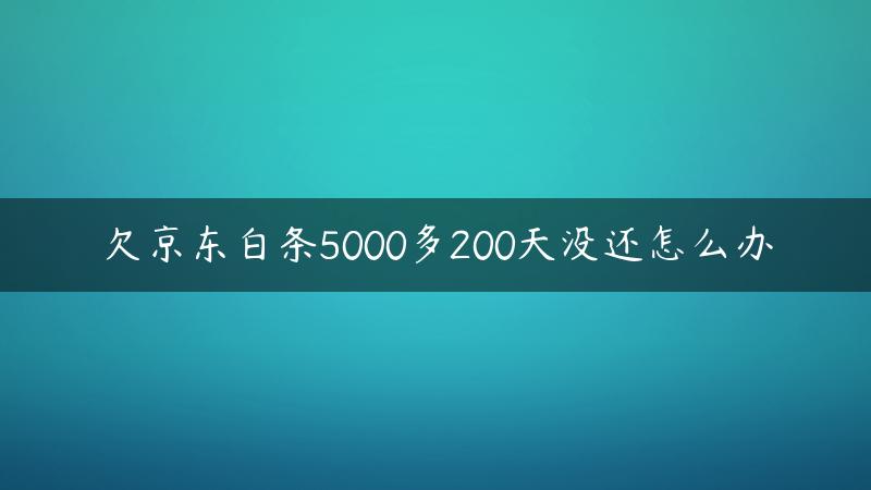 欠京东白条5000多200天没还怎么办