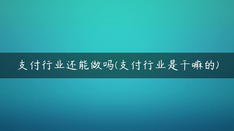 支付行业还能做吗(支付行业是干嘛的)