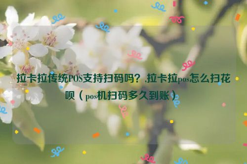 拉卡拉传统POS支持扫码吗？,拉卡拉pos怎么扫花呗（pos机扫码多久到账） 