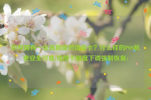 如何拥有一张高额度的信用卡？什么样的POS机更安全可靠(信用卡额度下调强制恢复)