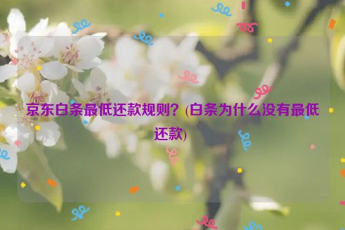 京东白条***低还款规则？(白条为什么没有***低还款) 