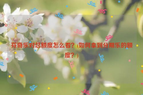 芬奇乐对总额度怎么看？(如何拿到分期乐的额度？)