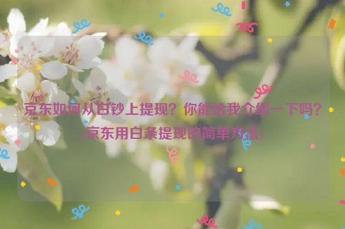 京东如何从白钞上提现？你能给我介绍一下吗？(京东用白条提现的简单方法)