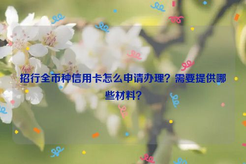 招行全币种信用卡怎么申请办理？需要提供哪些材料？