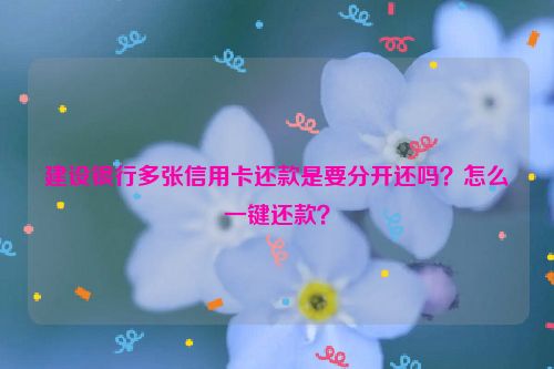 建设银行多张信用卡还款是要分开还吗？怎么一键还款？