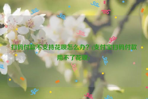 扫码付款不支持花呗怎么办？(支付宝扫码付款用不了花呗) 