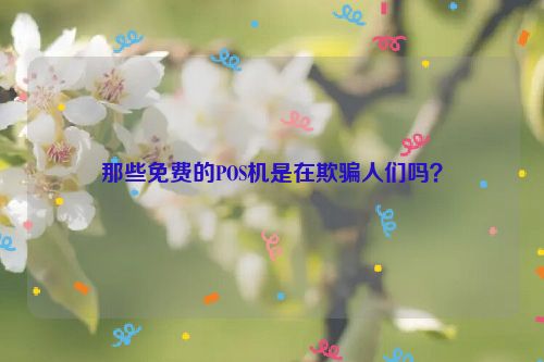 那些免费的POS机是在欺骗人们吗？